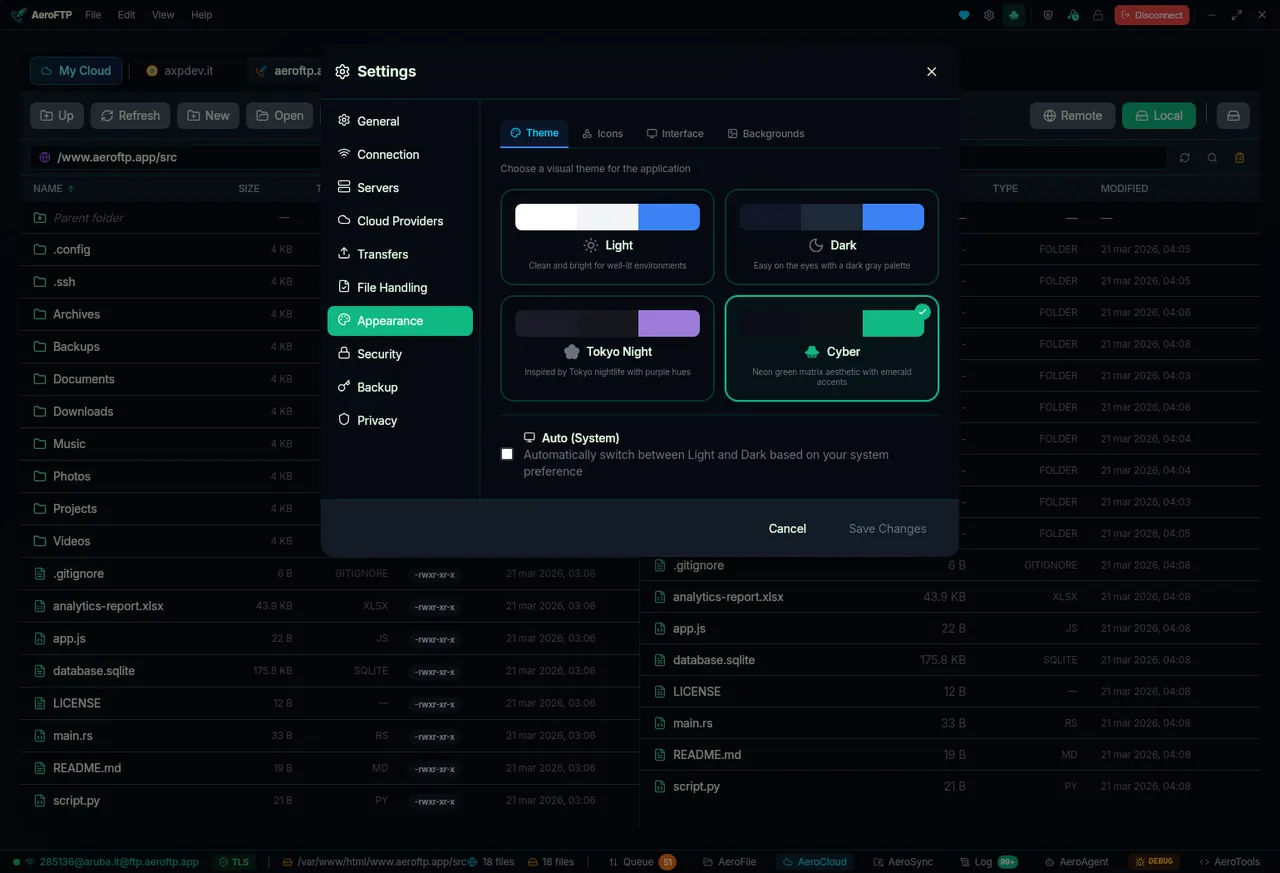 Appearance settings with the Light, Dark, Tokyo Night and Cyber themes