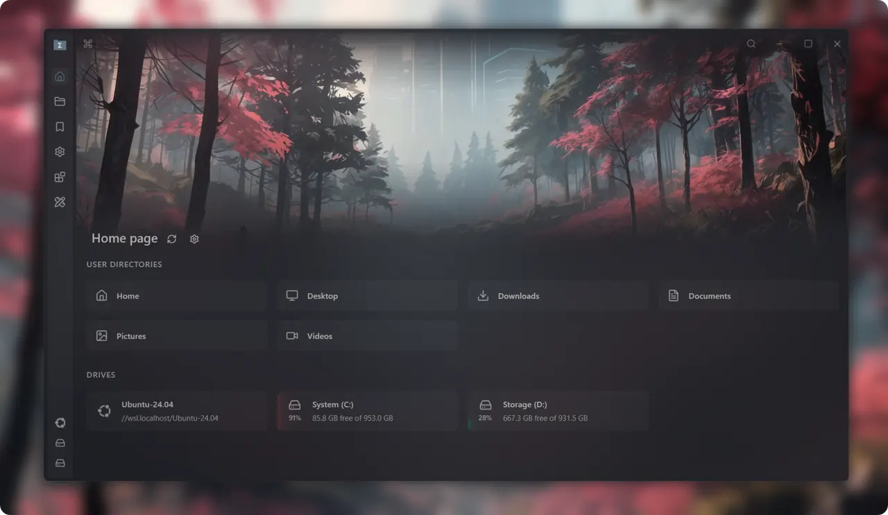 The home page with user directories and drives