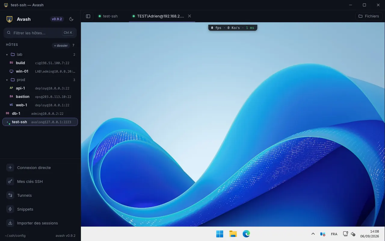 A Windows desktop inside Avash, the host list on the left