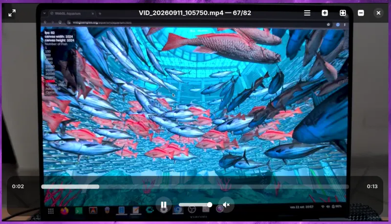 Carosello viewing images with navigation controls