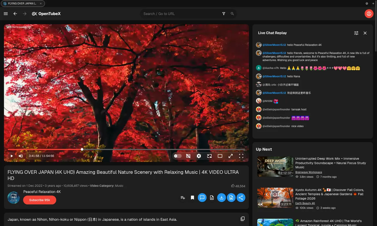 Watching a video (dark theme)