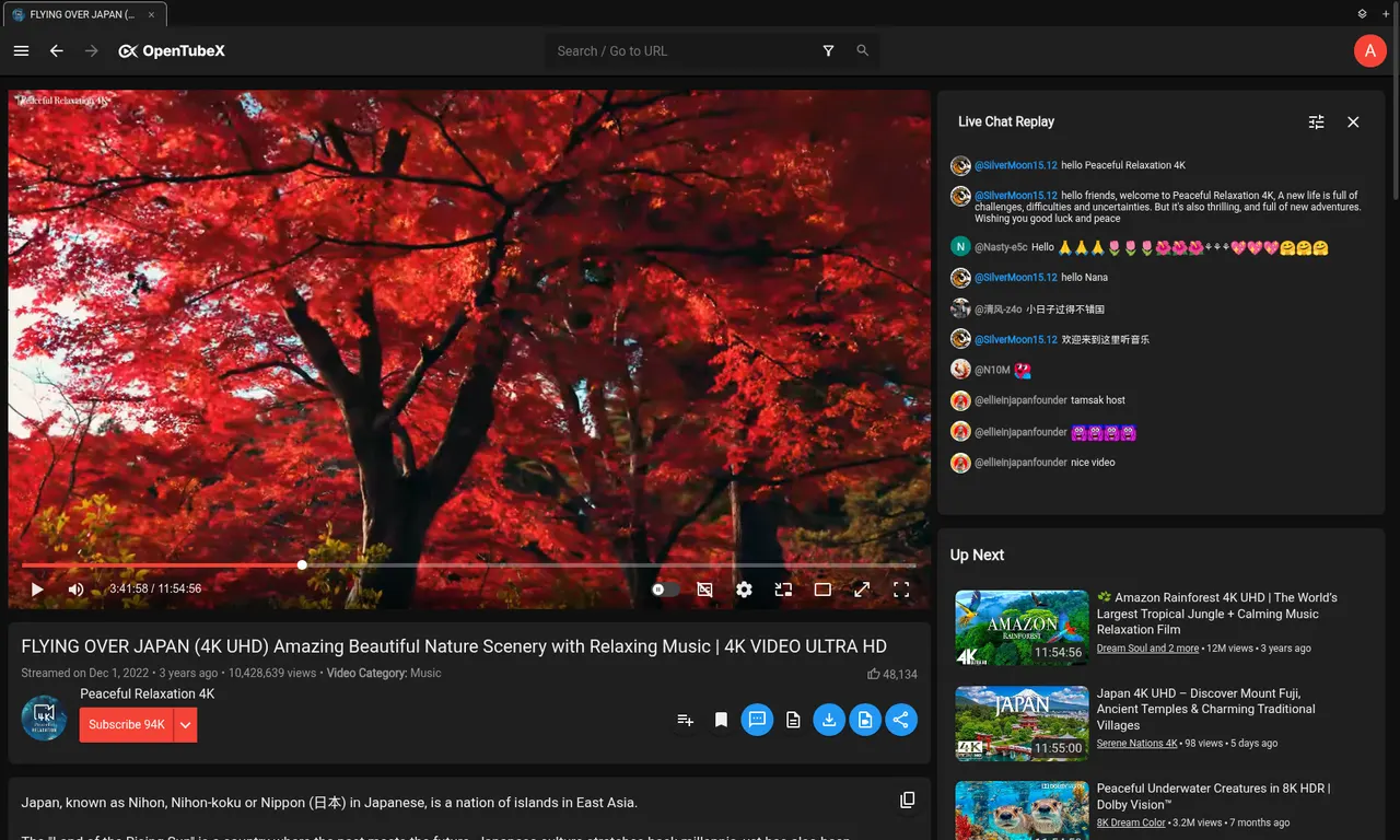 Watching a video (dark theme)