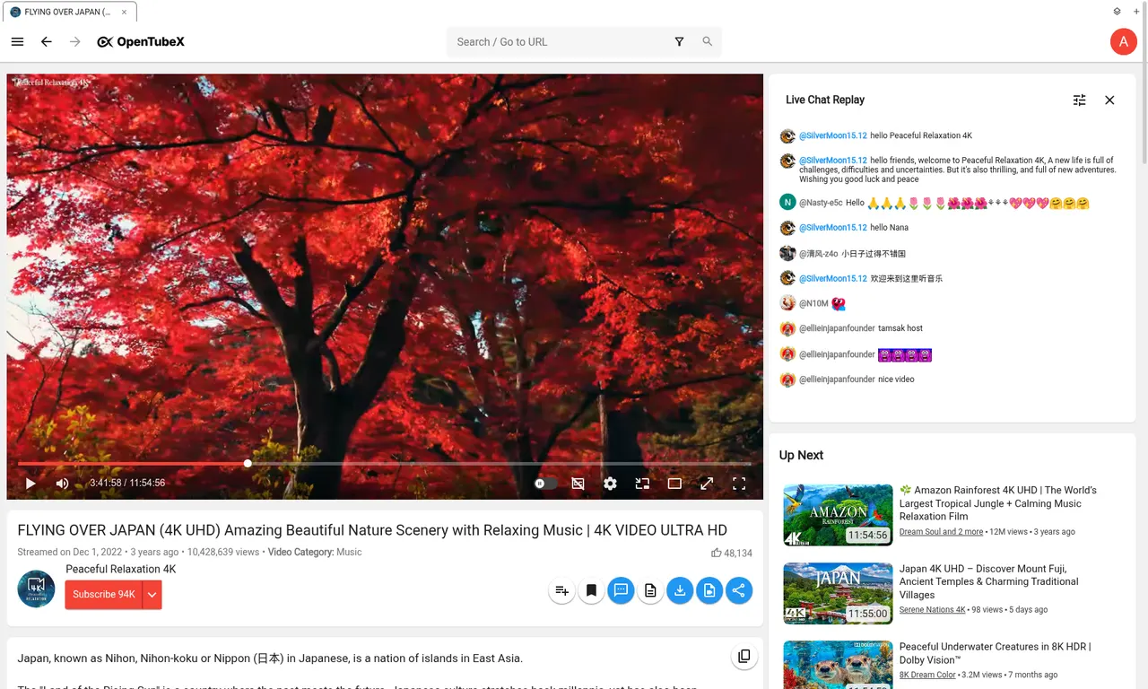 Watching a video (light theme)