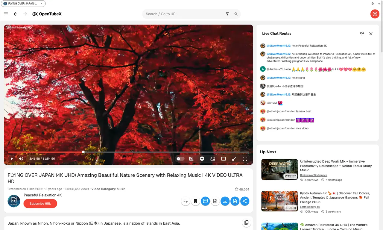 Watching a video (light theme)